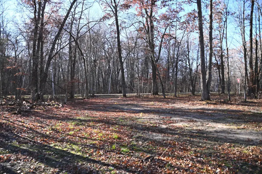 27537 Ode Circle, Browerville, MN 56438 - #2