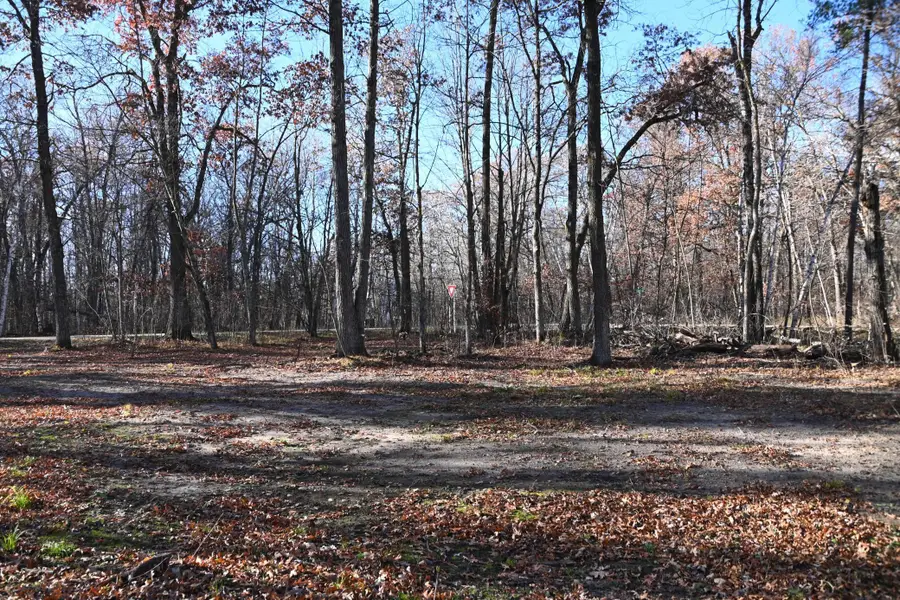 27537 Ode Circle, Browerville, MN 56438 - #3