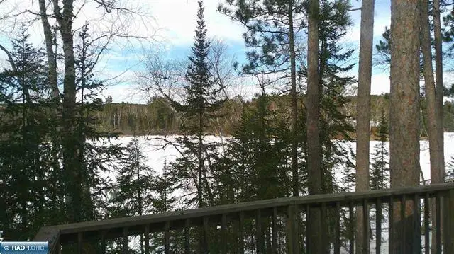 3031 Black Bay Road, Cook, MN 55723 - #2