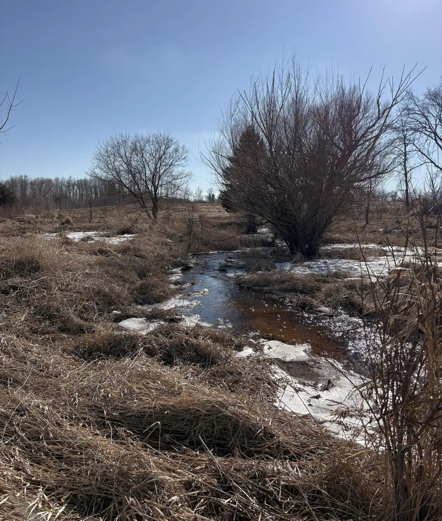 TBD 4.64 AC 160th Avenue, Foreston, MN 56330 - #2