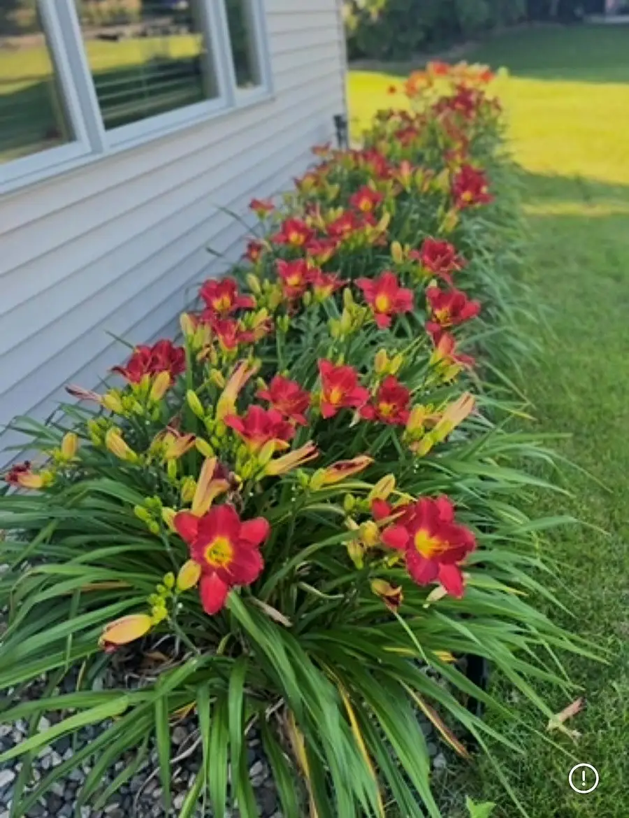 13880 Clare Downs Way, Rosemount, MN 55068 - #3