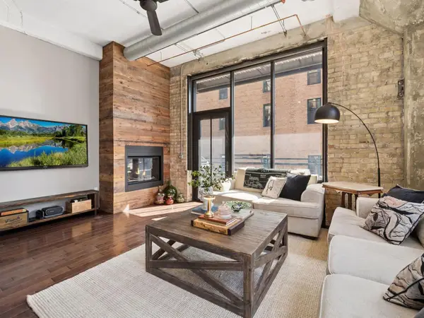 618 Washington Avenue N #301, Minneapolis, MN 55401