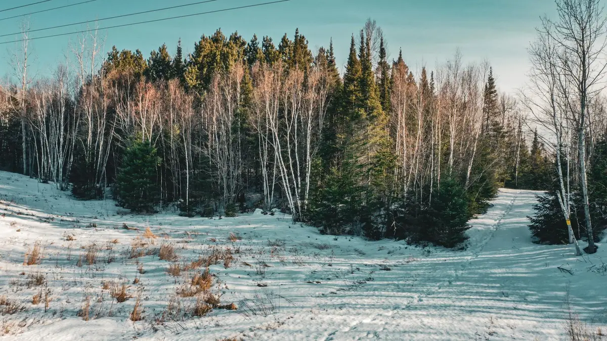 TBD Parcel 17 Hwy 115, Tower, MN 55790 - #1