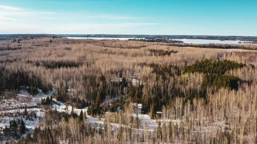 TBD Parcel 17 Hwy 115, Tower, MN 55790 - #3