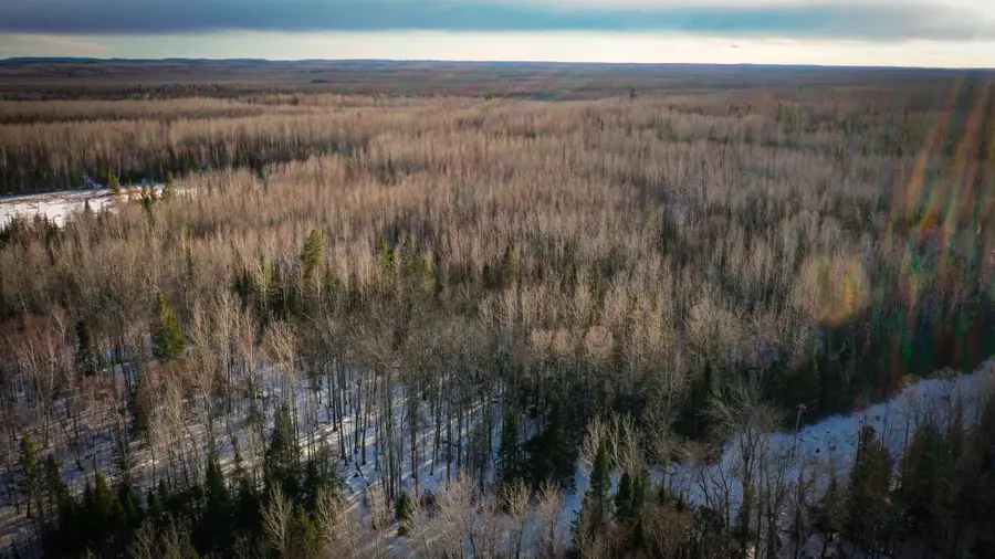 TBD Parcel S Thomas Road, Tower, MN 55790 - #3
