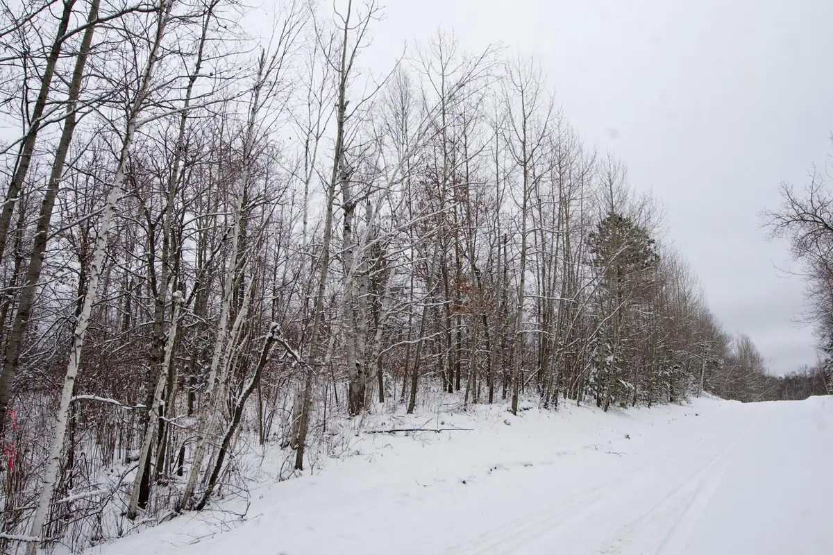 TBD Sheridan Woods Lane Ne, Outing, MN 56662 - #1