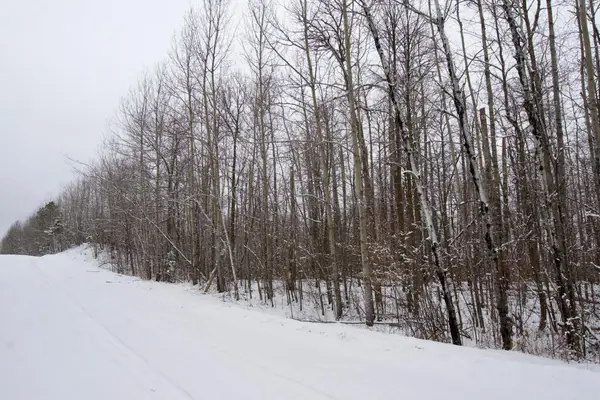 XXXX Sheridan Woods Lane Ne, Outing, MN 56662