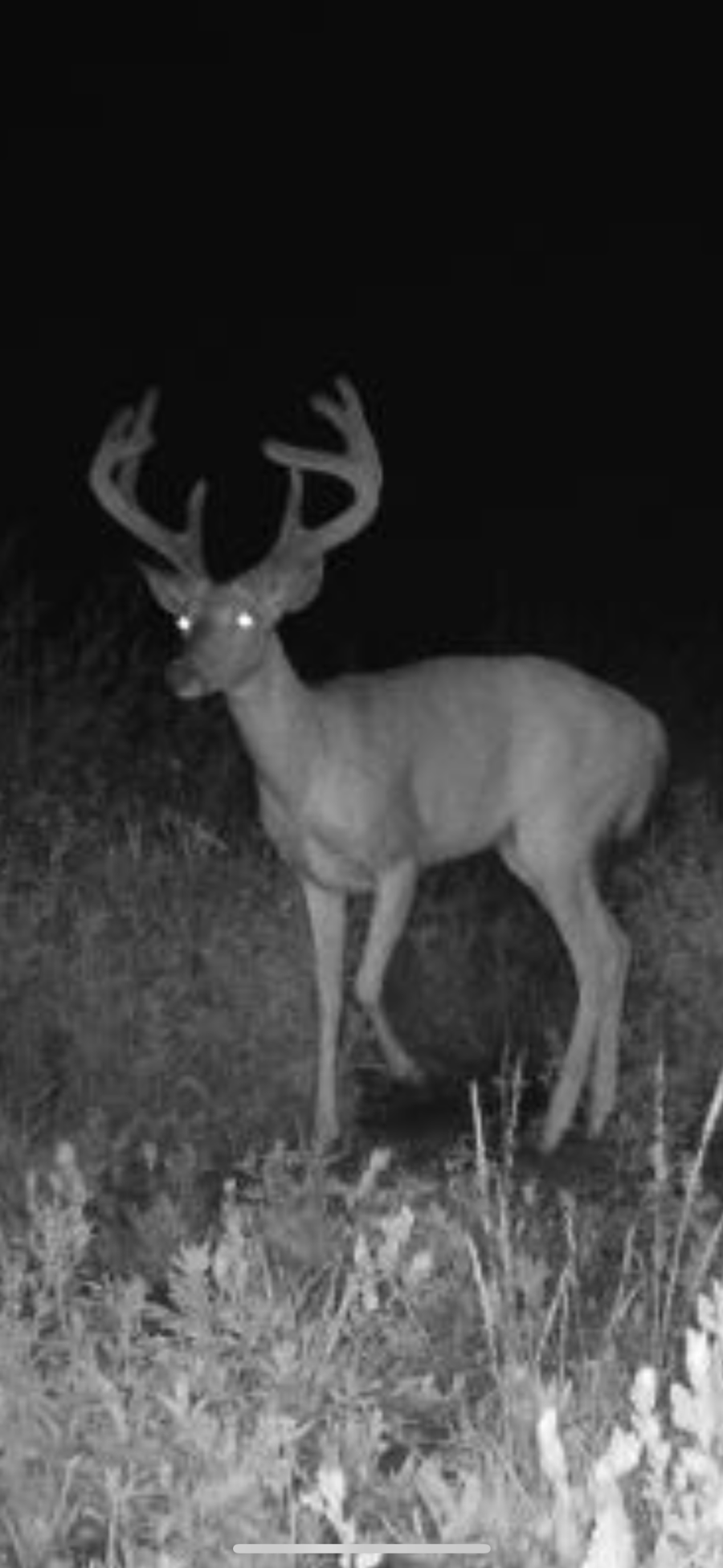 2759 State Highway, Waubun, MN 56589 - #3