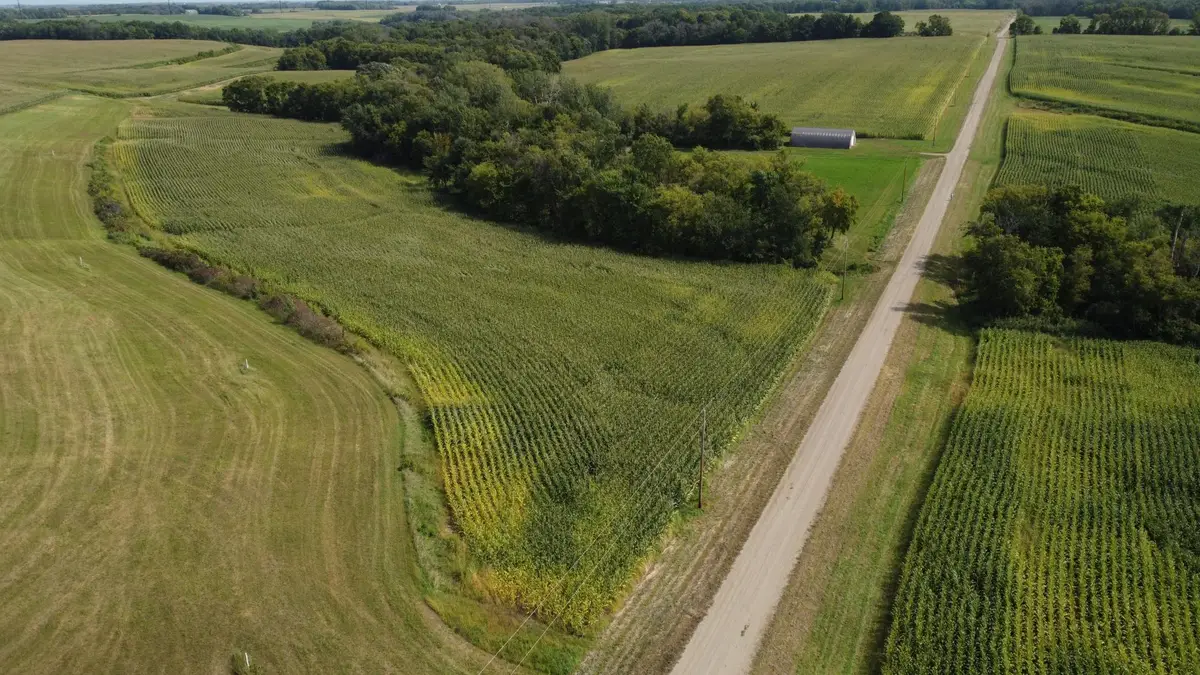 10 AC LOT 216th Ln, Henderson, MN 56044 - #1