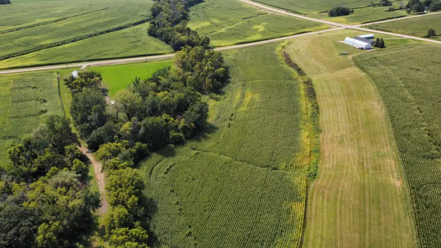 10 AC LOT 216th Ln, Henderson, MN 56044 - #2