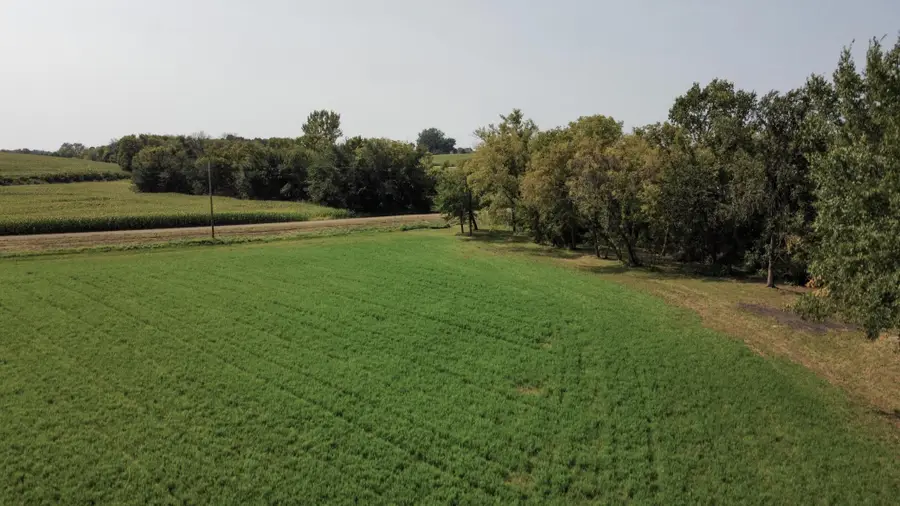 10 AC LOT 216th Ln, Henderson, MN 56044 - #3