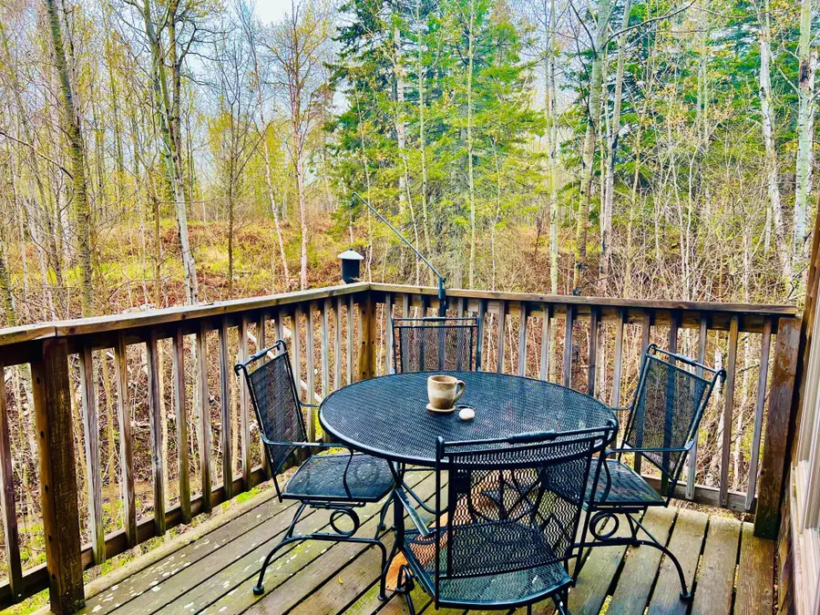 67 Snowshoe Trail, Tofte, MN 55615 - #2