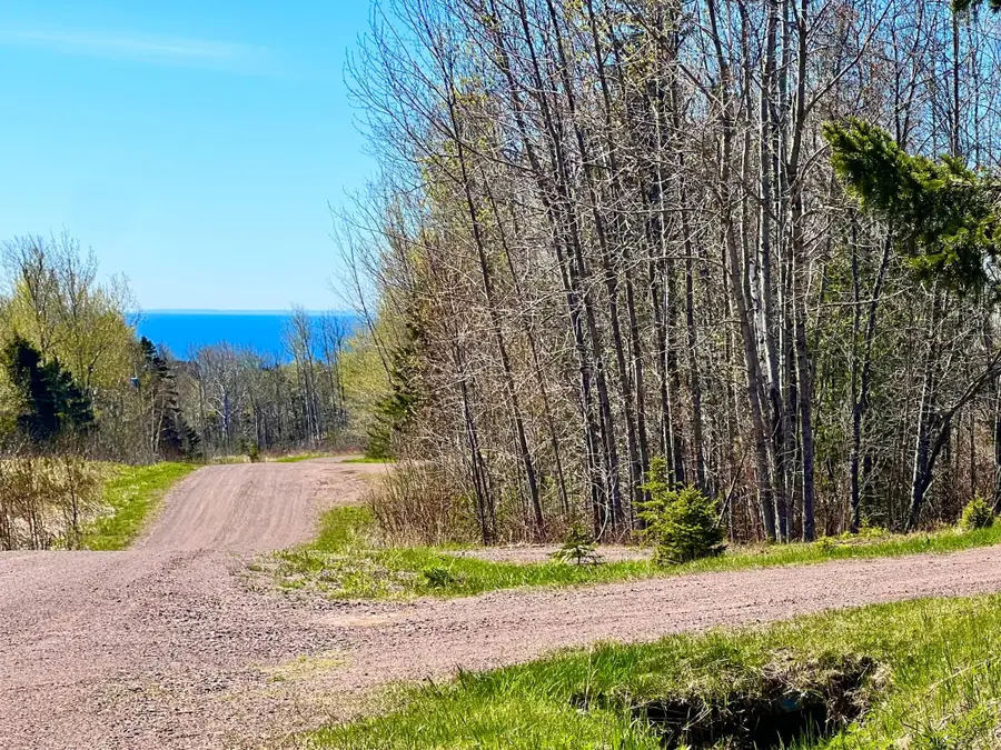 67 Snowshoe Trail, Tofte, MN 55615 - #3