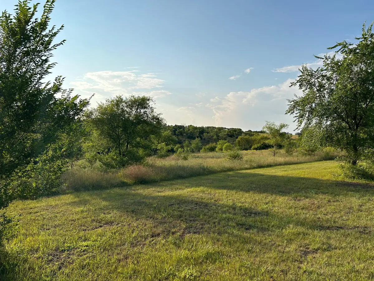 TBD Moore Street, Starbuck, MN 56381 - #1