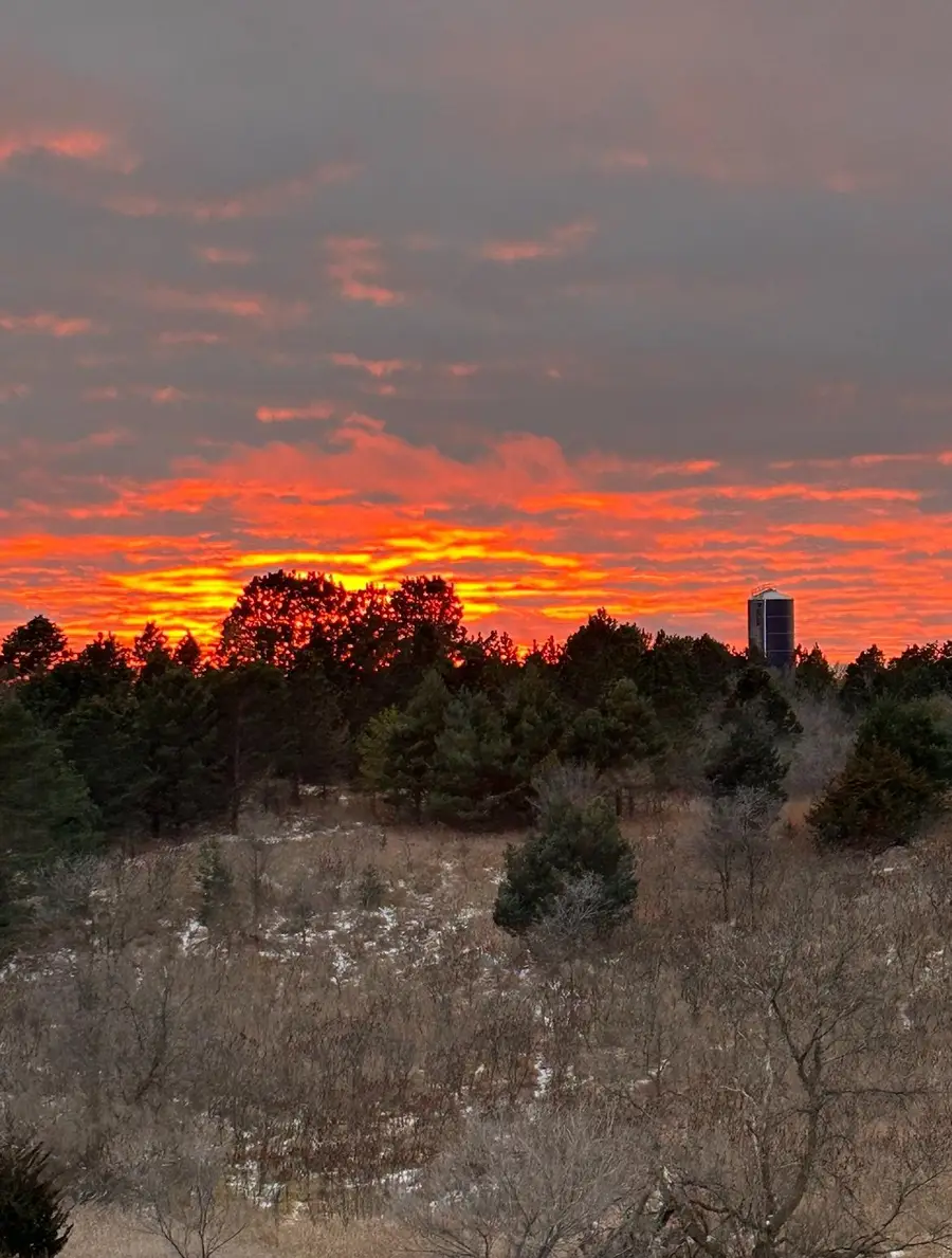 TBD Moore Street, Starbuck, MN 56381 - #2