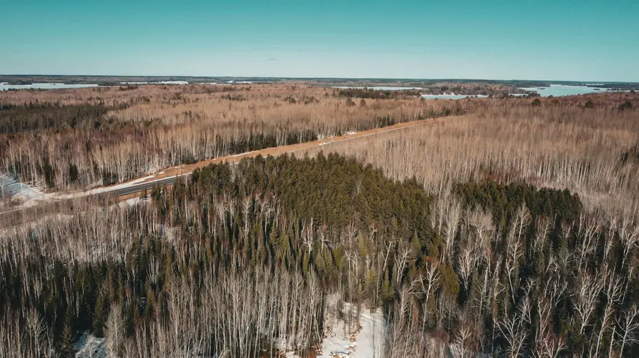 TBD Parcel 18 Hwy 115, Tower, MN 55790 - #2