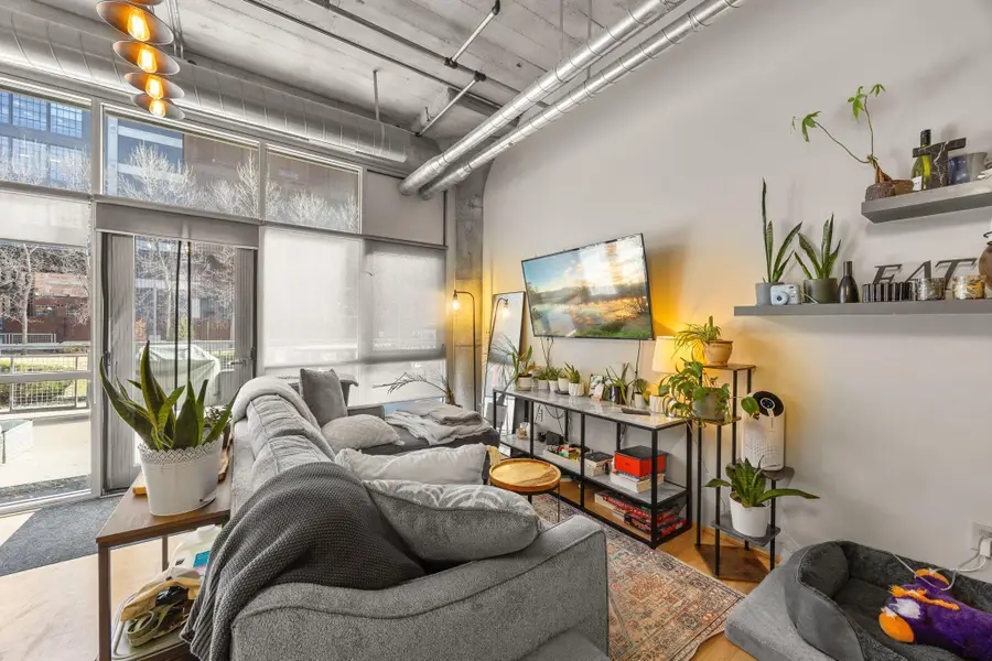 748 3rd Street N #105, Minneapolis, MN 55401 - #2