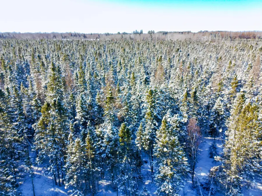 XXXX Highway 73, Cromwell, MN 55726 - #2