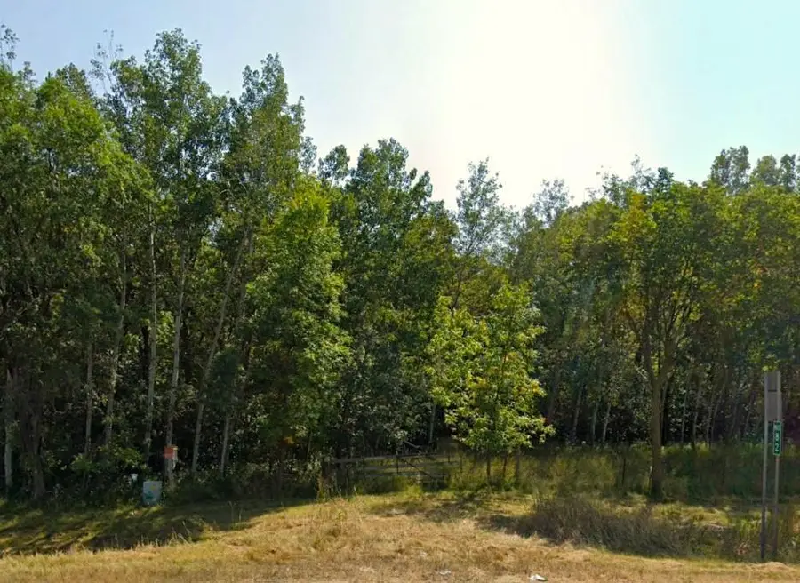 TBD State Hwy 29 N, Alexandria, MN 56308 - #2