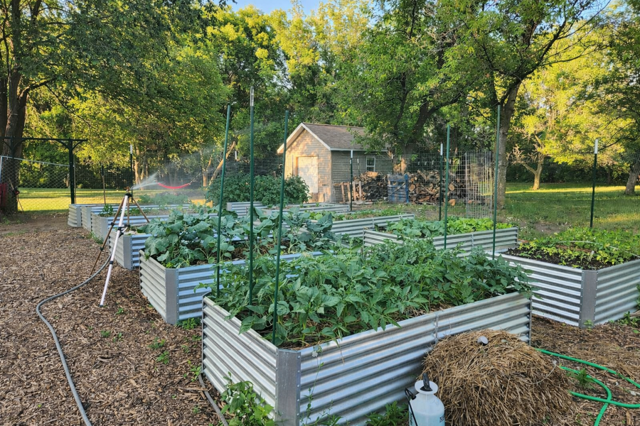 15123 Fox Street Nw, Andover, MN 55304 - #2