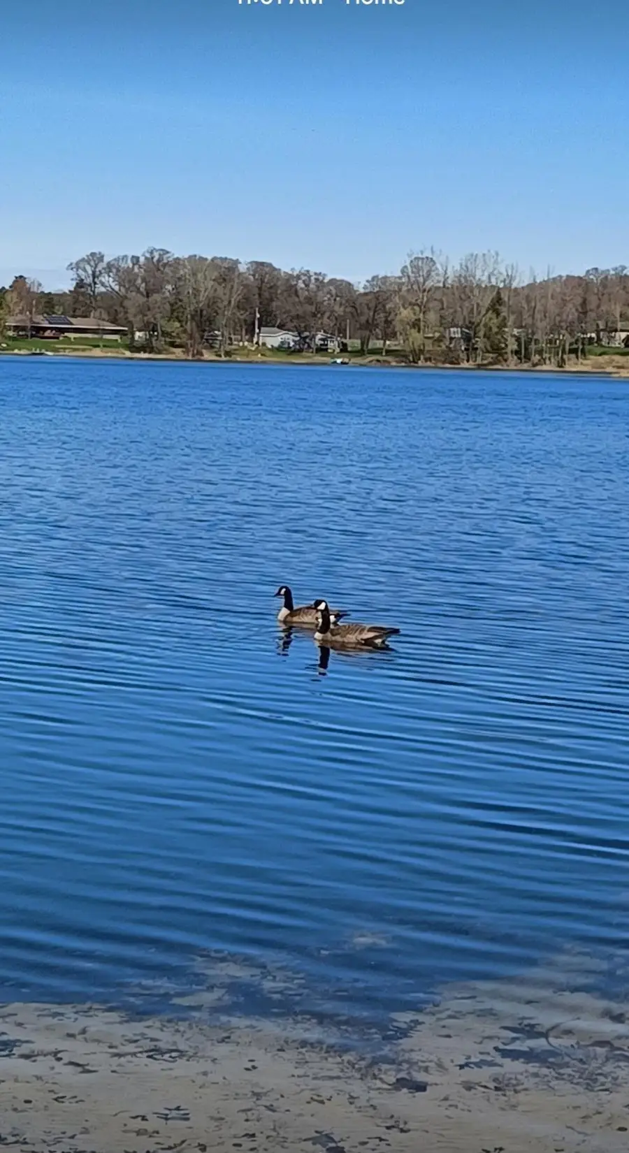 28004 133 1/2 Street Nw, Zimmerman, MN 55398 - #3