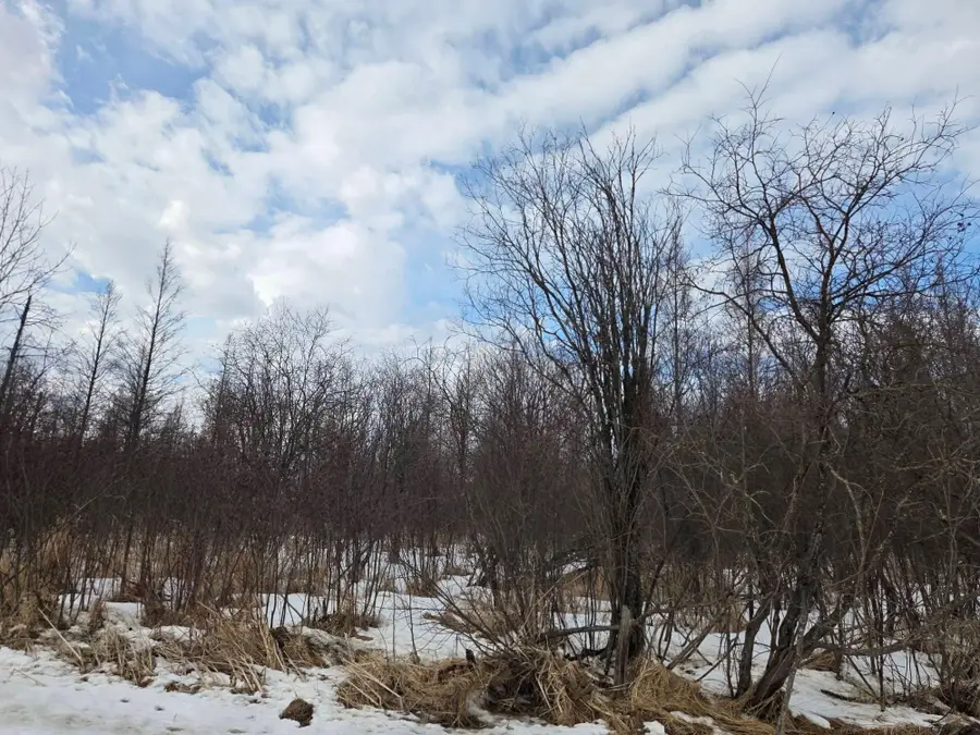 TBD Three Mile Road Ne, Blackduck, MN 56630 - #2