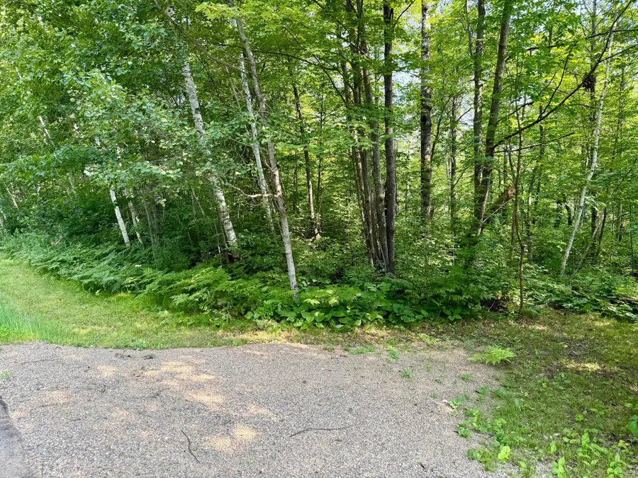 Lot 7 Block 1 Yellow Birch Ln, Emily, MN 56447 - #3