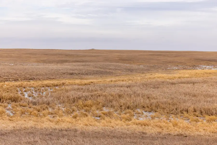 1587 18 Ave Nw Parcel 2, Turtle Lake, ND 58575 - #2