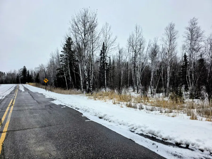 TBD County Road 91, International Falls, MN 56649 - #2