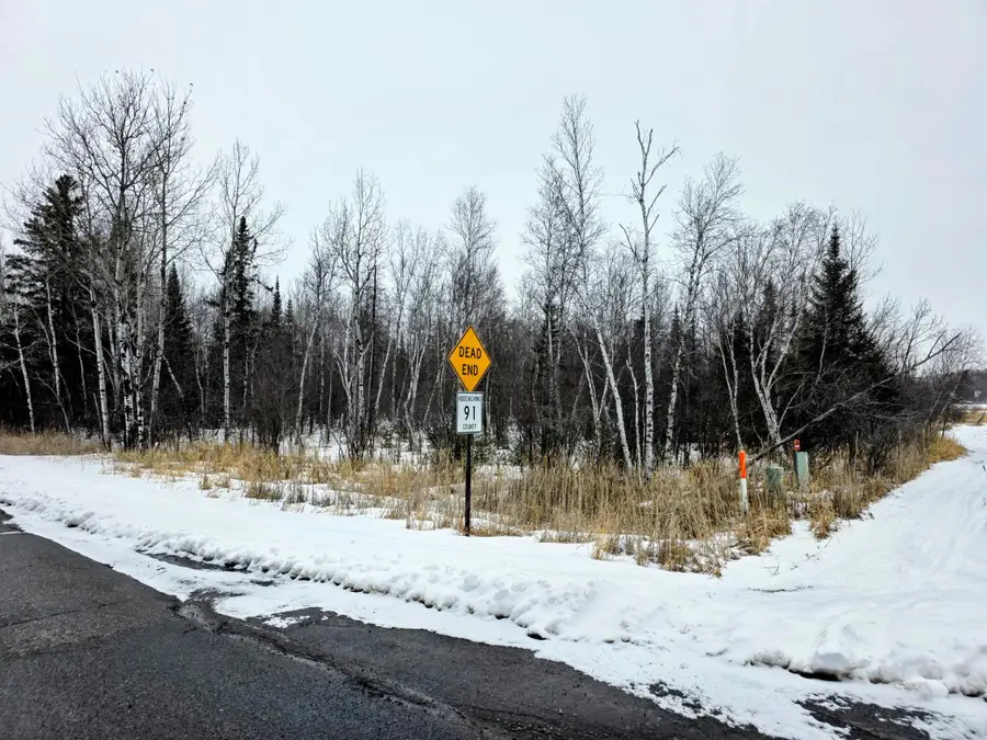 TBD County Road 91, International Falls, MN 56649 - #3