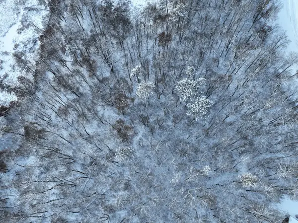 TBD Drake Circle, Pine River, MN 56474