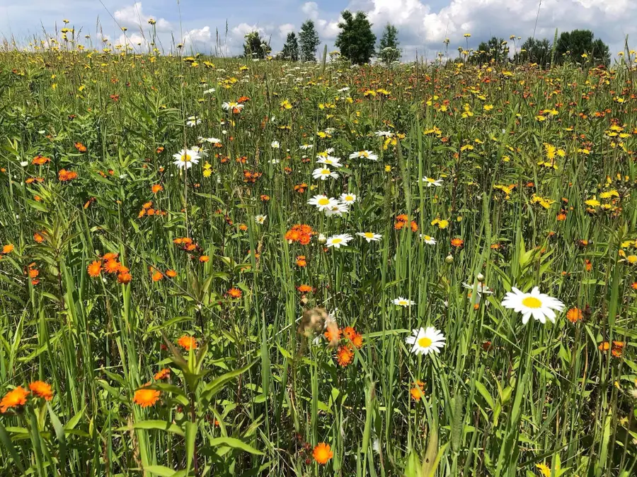 TBD Dixon Line Rd, Finlayson, MN 55735 - #2