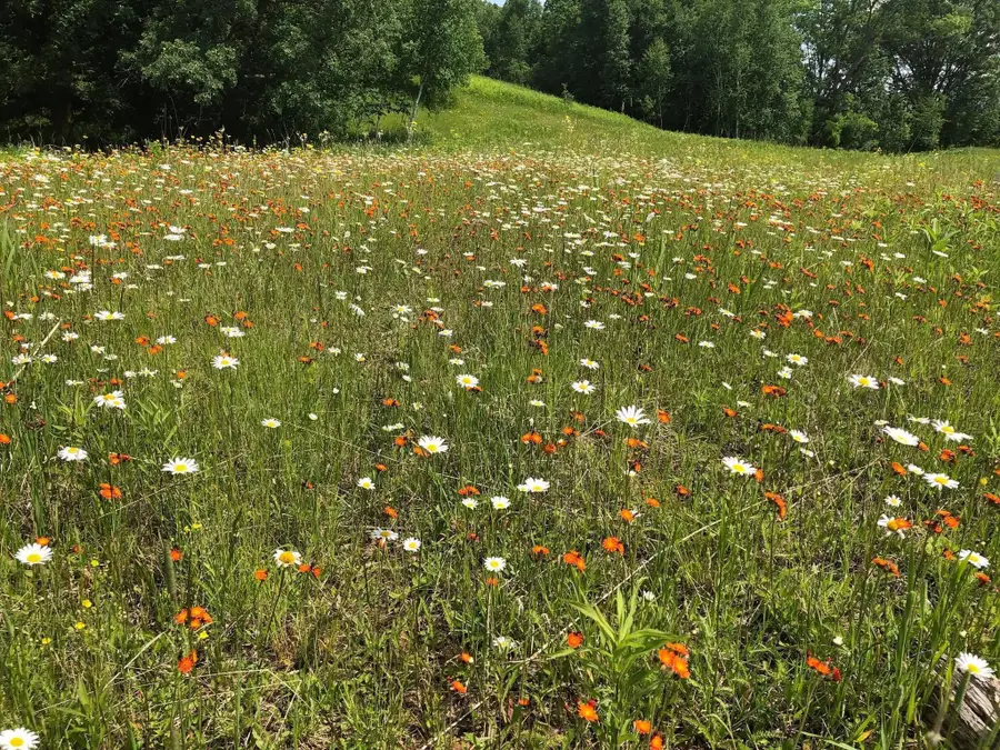 TBD Dixon Line Rd, Finlayson, MN 55735 - #3