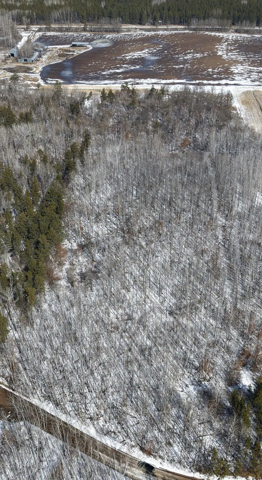 TBD 10 Bog Lake Trail, Osage, MN 56570 - #2