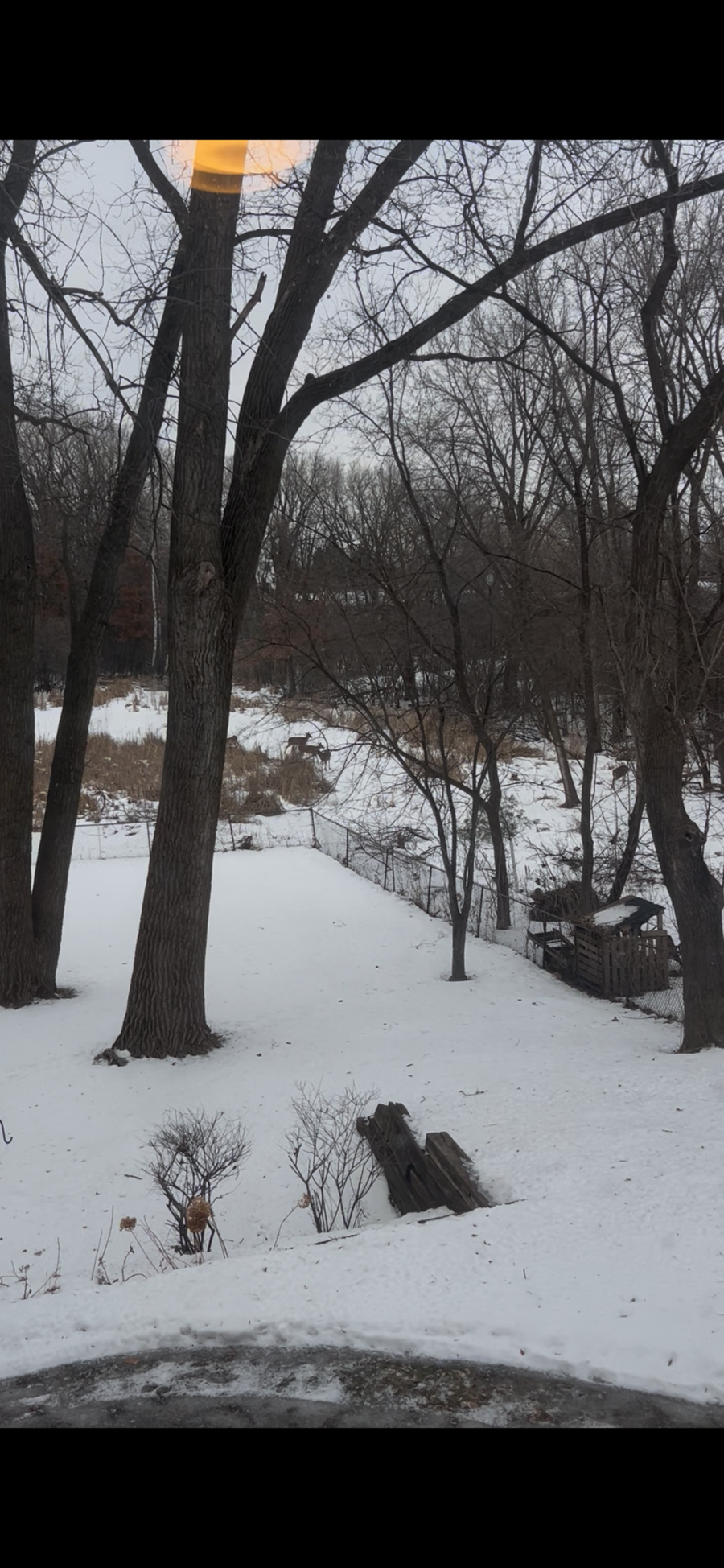 281 Woodridge Drive, Vadnais Heights, MN 55127 - #3