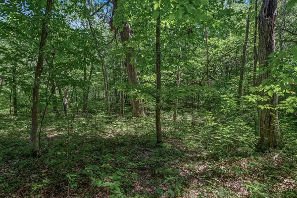 25xxx Itasca Avenue, Forest Lake, MN 55025