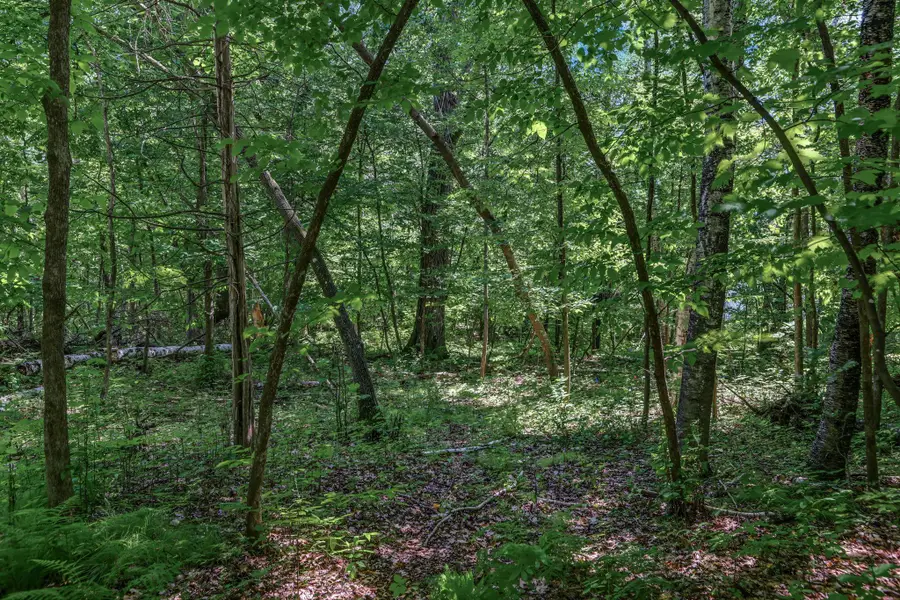 25xxx Itasca Avenue, Forest Lake, MN 55025 - #2