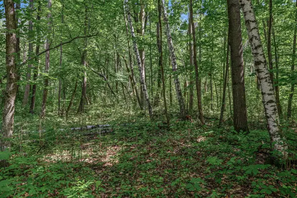 25179 Itasca Avenue, Forest Lake, MN 55025