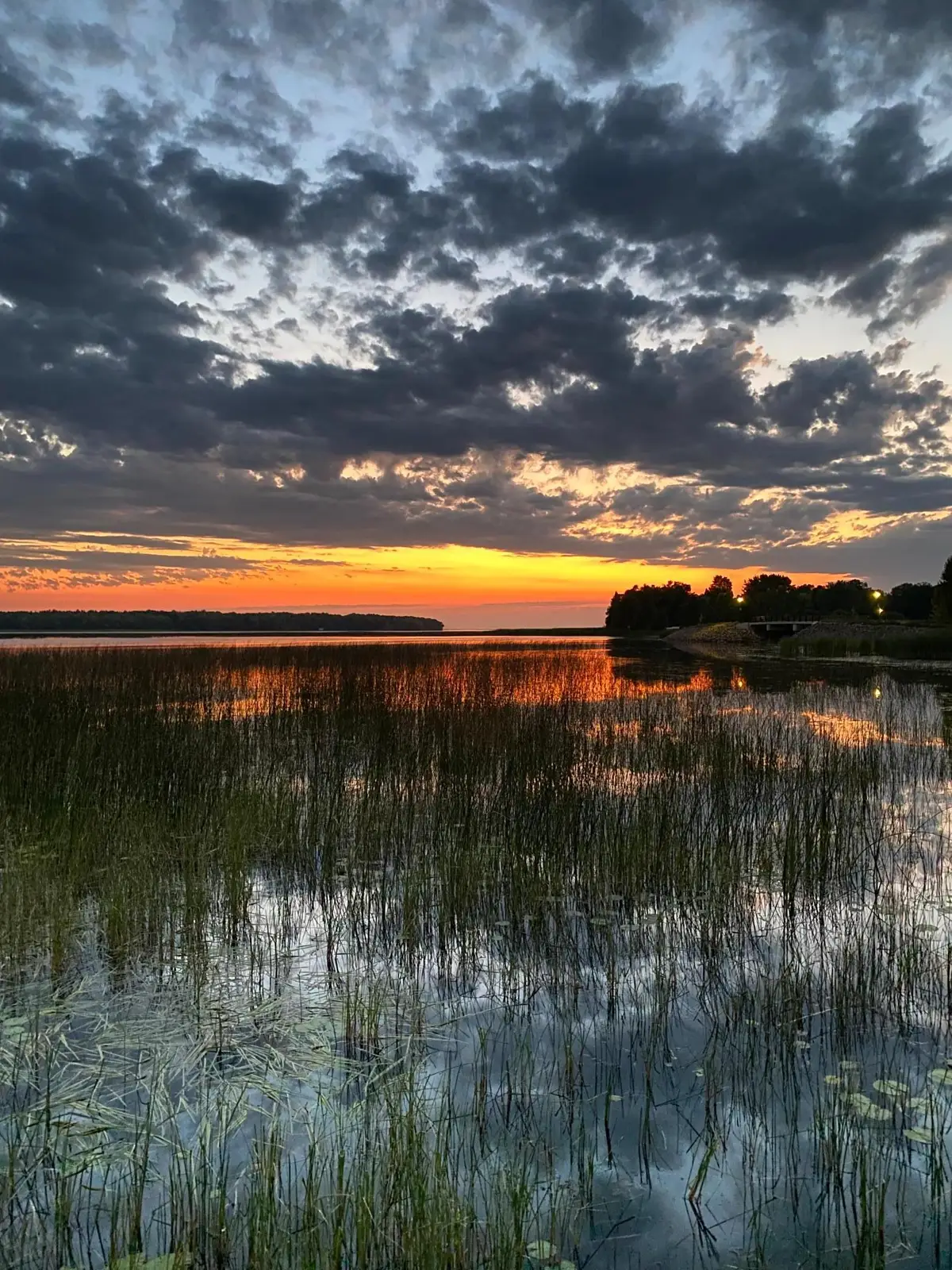 1290 Malone Park Road, Isle, MN 56342 - #1