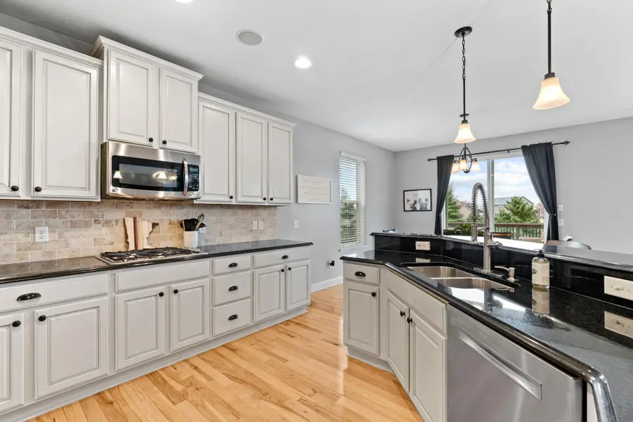 14183 Abbeyfield Court, Rosemount, MN 55068 - #3