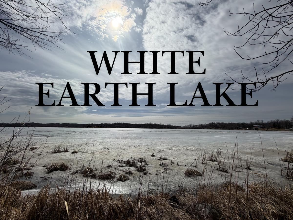 29603 374th Street, Ogema, MN 56569 - #1