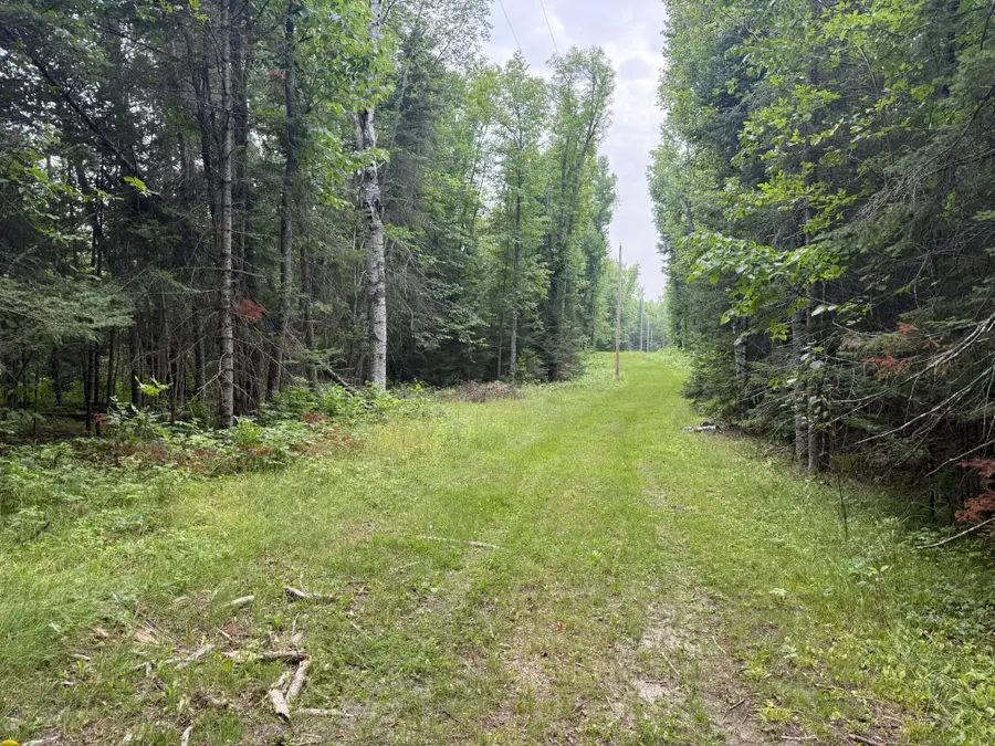 TBD Cedar Point Road, Marcell, MN 56657 - #3