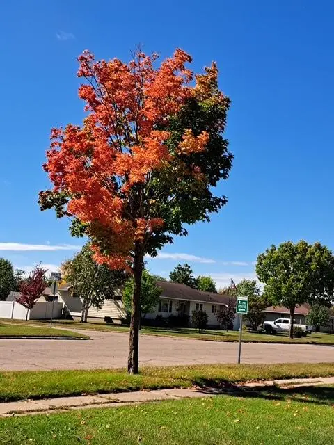 524 Irving Avenue Sw, Wadena, MN 56482 - #3