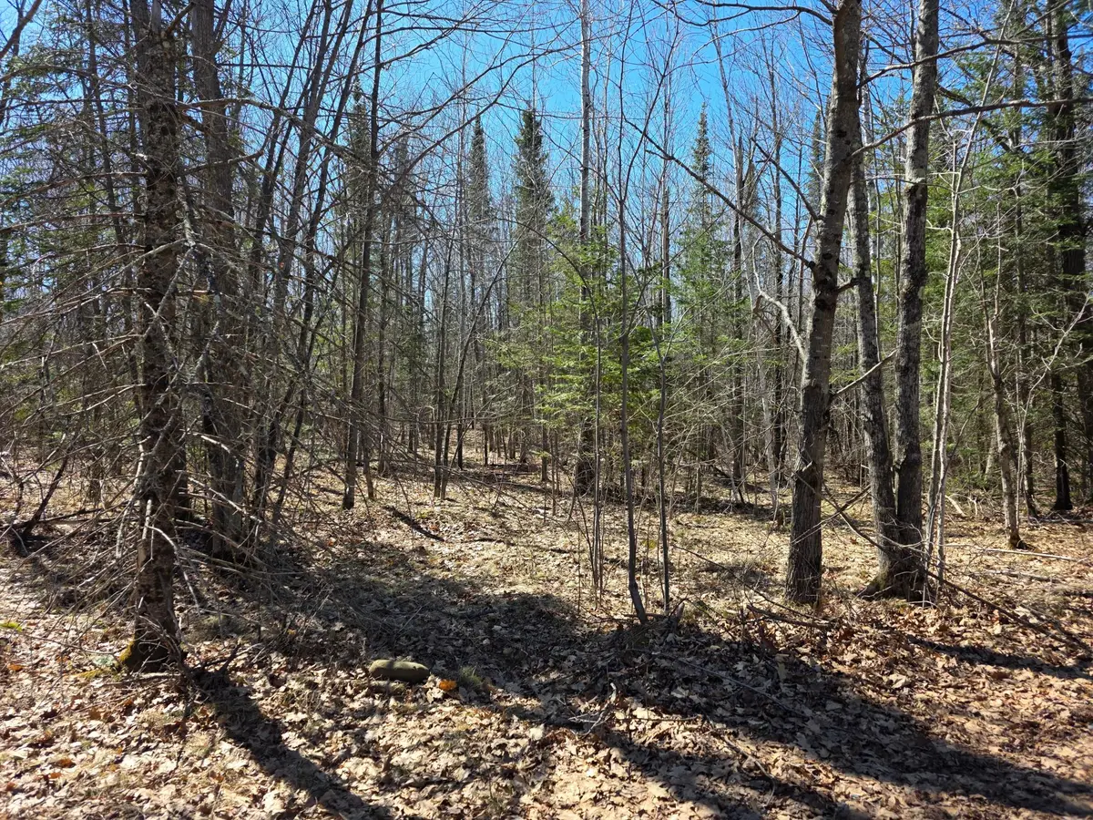 TBD Stark Road, Cloquet, MN 55720 - #1