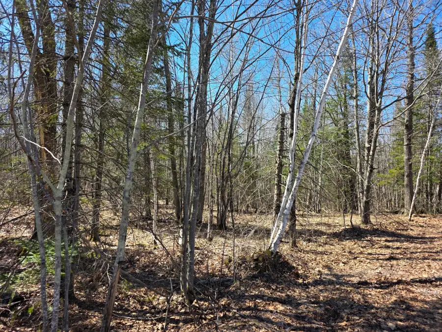 TBD Stark Road, Cloquet, MN 55720 - #3