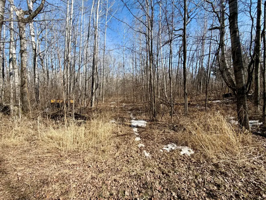 TBD First Avenue N, Kelly Lake, MN 55746 - #2