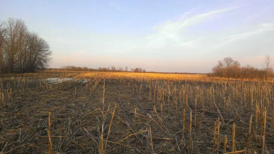 TBD 16-005-0102 Mille Lacs County, Princeton, MN 55371 - #1