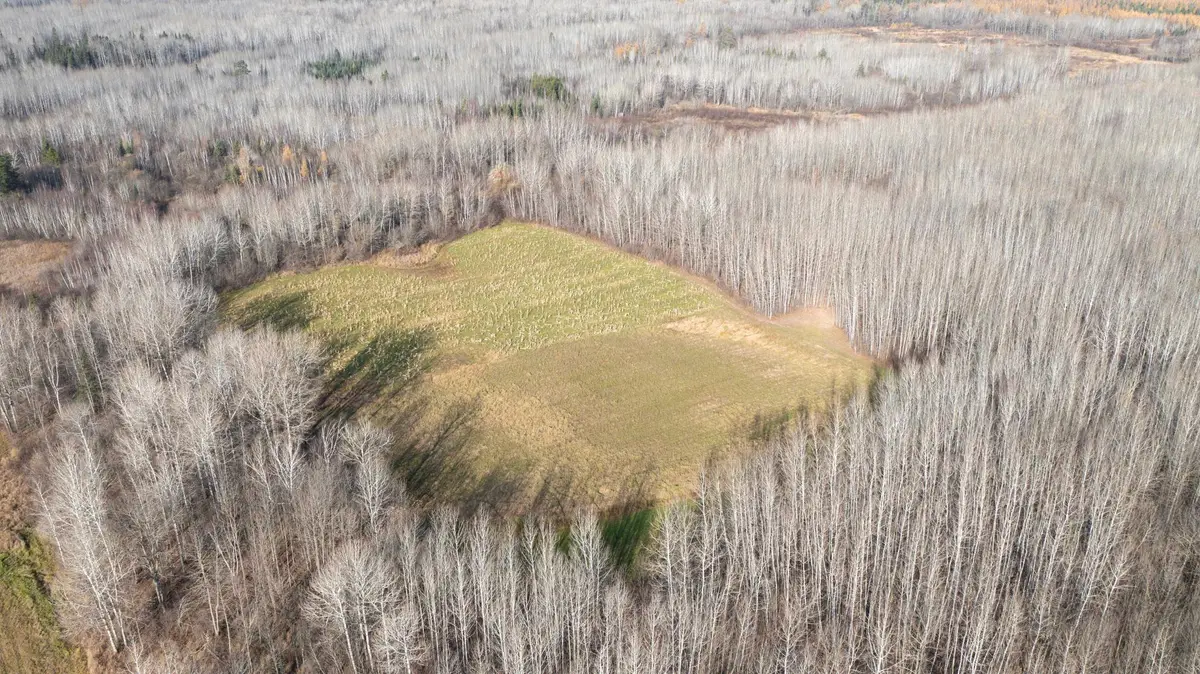 11680 County 59 Road, Orr, MN 55771 - #1