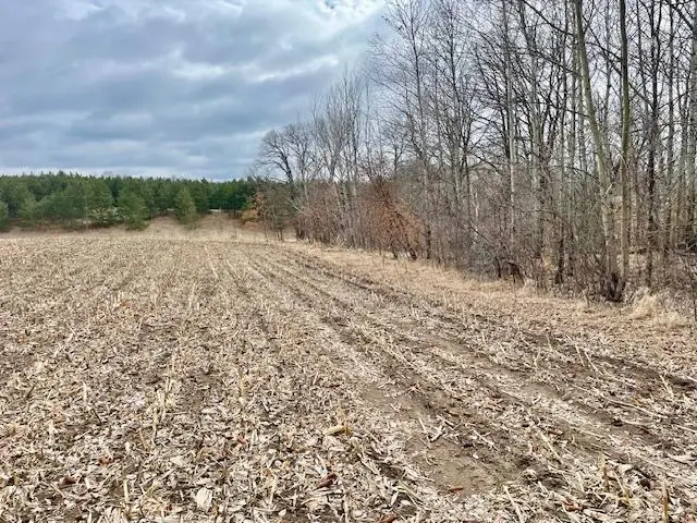 TBD Co Hwy 1, Underwood, MN 56586 - #1