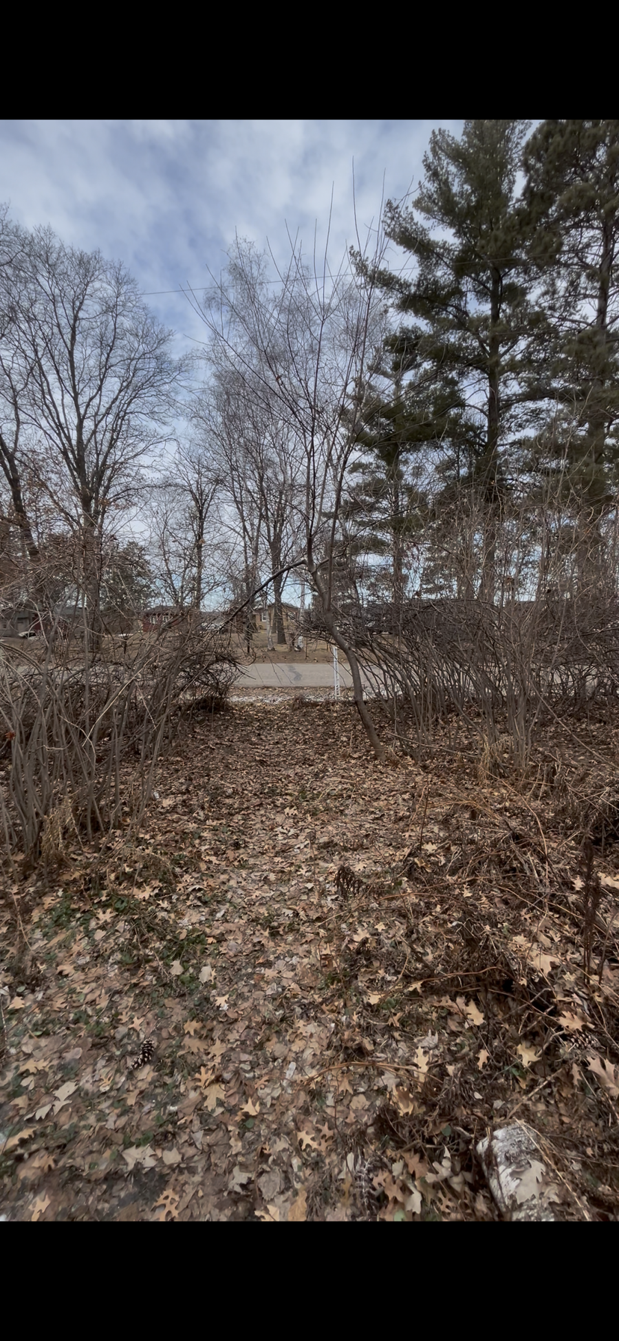 TBD Big Pine Trail, Crosslake, MN 56442 - #3